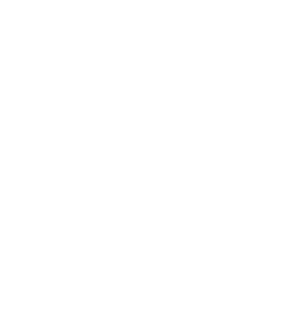 Expert Logo